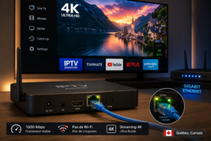Un boitier iptv port ethernet gigabit branché en câble réseau RJ45 au Québec.